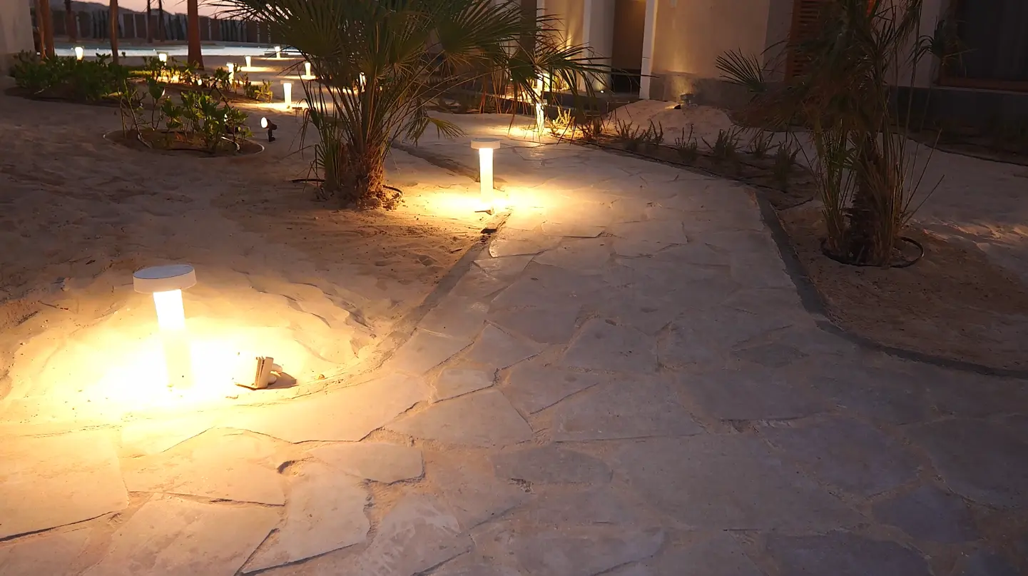 Landscape lighting at The Med, highlighting illuminated pathways, palm trees, and planted areas during the evening