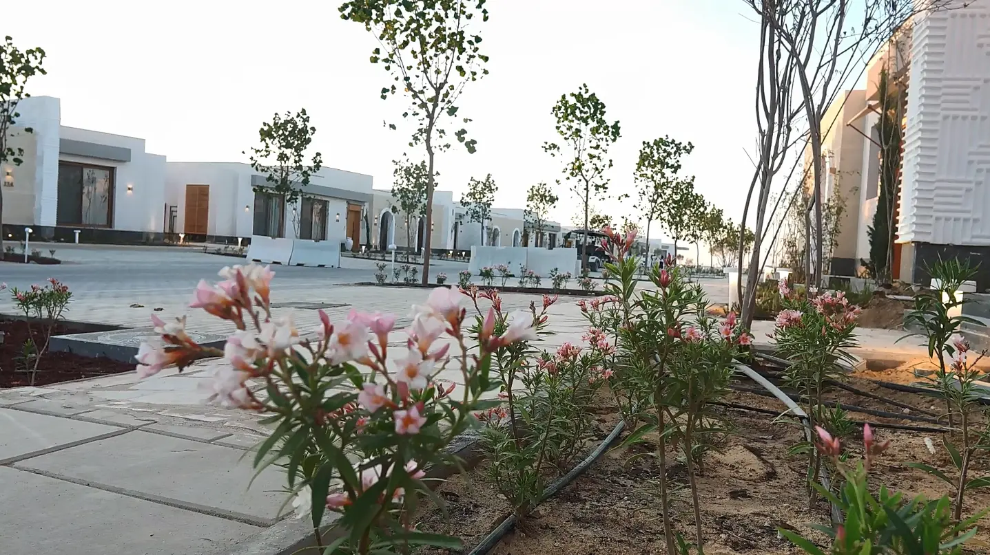 Landscaped residential area at The Med featuring modern white chalets, flowering plants, trees, and pedestrian pathways